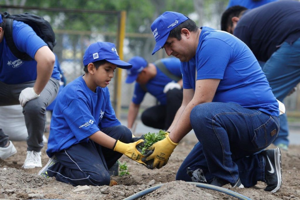 Voluntarios De Lamsac Sembraron MÁs De 500 Plantas En La Localidad De